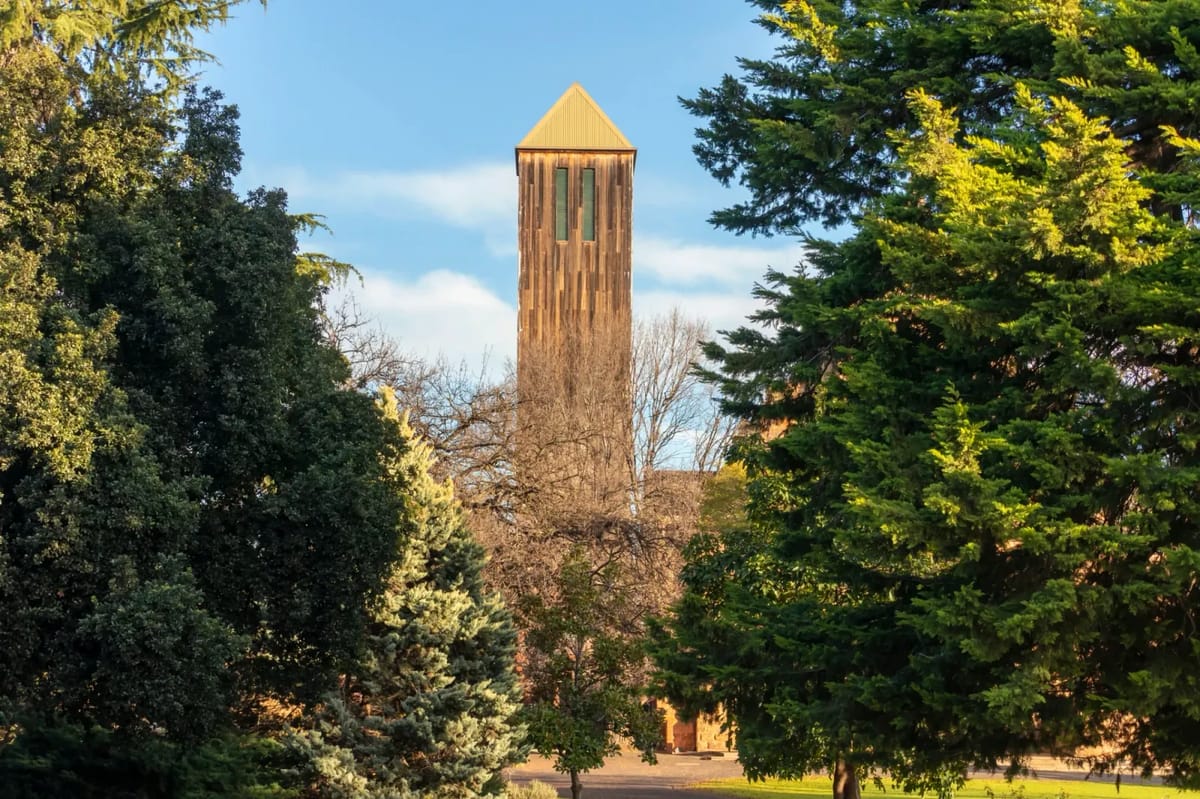 Wangaratta war memorial tower framed by trees