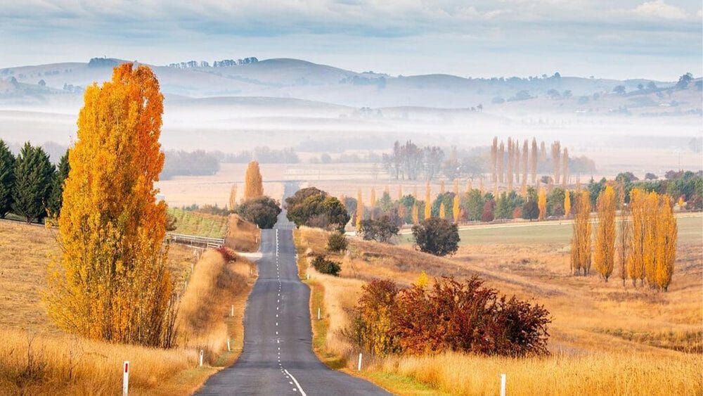Autumn road through rolling hills with misty mountains