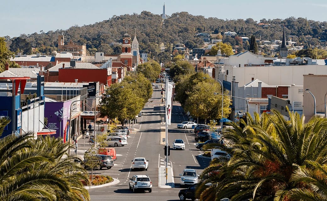 Tree-lined street with shops and distant tower on hill