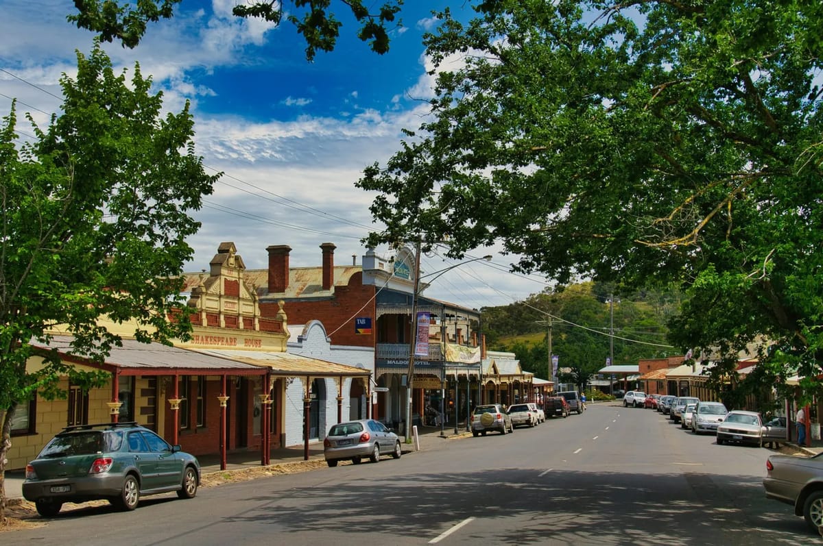 Street with shops and parked cars, dappled sunlight.
